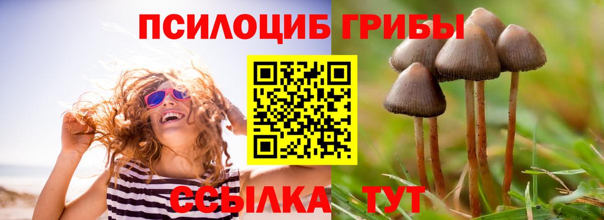 Псилоцибиновые грибы мицелий  Галлюциногенные грибы мухоморы  Курчатов  Вход с VPN 